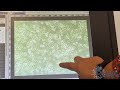 Making Observations Of Cells Post Treatment Making Observations Of Cells Post Treatment
