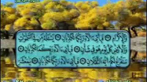 ;سورة الرحمن كاملة   عامر الكاظمي