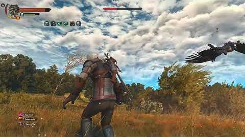 Witcher 3 Enhanced Edition (Mod) Shrieker Boss Fight