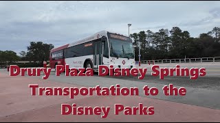 Using the Bus Transportation at Drury Plaza Hotel Orlando Disney Springs to the 4 Disney World Parks by Momma Snark 2,531 views 2 months ago 8 minutes, 59 seconds