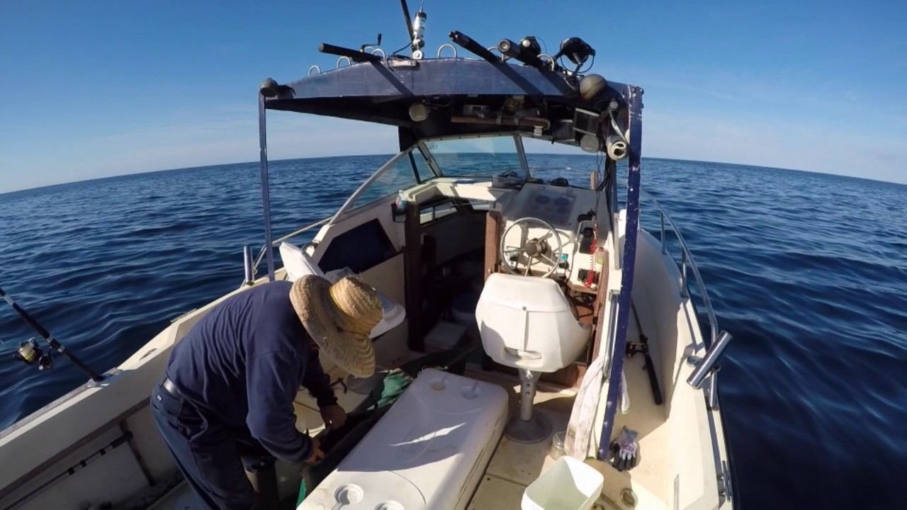 Black Friday deep sea fishing 2016