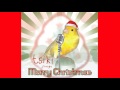 The little drummer boy  tsiki the bird