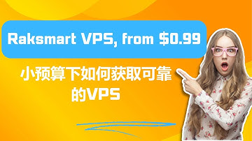 小预算下如何获取可靠的VPS - Raksmart