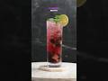 🌞🍹 Blueberry Mojito! 🫐🌿 #classicmojtio   #mint #mojitolover #summercocktails