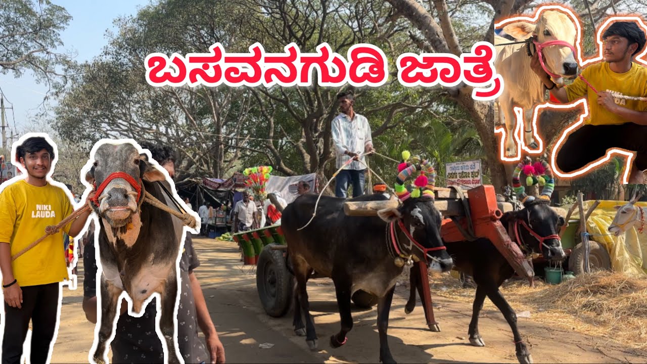 ಬಸವನಗುಡಿ ಜಾತ್ರೆ.  #like #subscribe #mandya #viral #explorepage 
