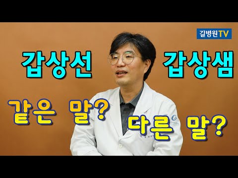   갑상선 갑상샘 같은 말 다른 말 헷갈리는 의학용어