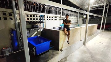 Keng พระราม 3 - วันลุยงานจัดระบบเติมน้ำดีสำหรับบ่อ 7 ม. เลี้ยงปลาทองริวกิ้น + O4FS อ่างพักปลา Set 3