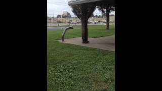 Squirrel plays with granddaughter