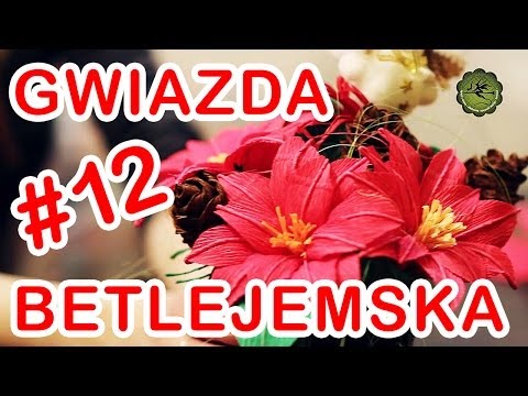 Wideo: Jak Zrobić Gwiazdę Betlejem?