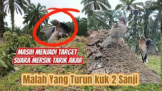 WAKTU YANG TERBATAS BL MERSIK TARIK AKAR MASIH MELAYANG BEBAS ALHASIL SALAH TARGET YANG TURUN