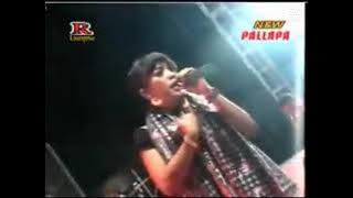 new pallapa keong racun versi terbaru