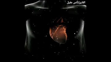 تلاوة خاشعة.من سورة الزمر.للقارئ/أنس عقيل