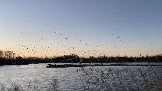 Barleycroft Lake