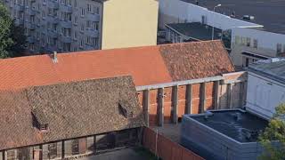 Liepāja No Putna Lidojuma