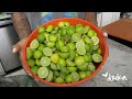 Making Key Lime Water | Dreka Gates