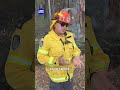 Firefighters work to contain NSW bushfire| 9 News Australia
