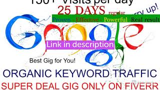 I will drive 25 days google organic search traffic using keywords