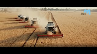 Уборка пшеницы. Заготовка соломы. 2020 год.  Учхоз 