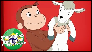 George O Curioso 🐵A Firma da George e Aliie🐵Compilação 🐵 Desenhos Animados em Português