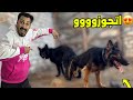 اخيرا بولا اتجوزت بعد غياب اتجوزت شعبولا اخيرا بولا اتجوزت بعد غياب اتجوزت شعبولا