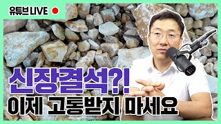 시청자질문: 신장결석