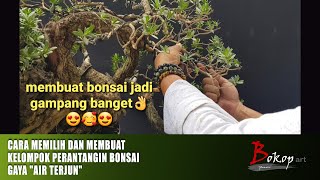 CARA MEMILIH DAN MEMBUAT KELOMPOK PERANTANGIN BONSAI GAYA "AIR TERJUN"