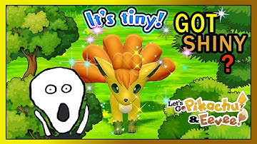 Shiny Vulpix Route Reset Method Lonely Fox - Pokemon Let