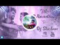 Dj song maate vinadhuga Dj Shoban Mp3 Song