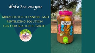 Make Eco-Enzyme, Miraculous Cleaning and Fertilizing Solution for Our Beautiful Earth!