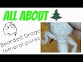 All About FEMORAL PORES! | Cgpets101
