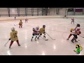 (U-8) Хоккей в Сердце - Chiefs
