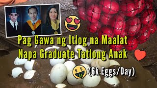 Pag Gawa ng Itlog na Maalat, Napa Graduate tatlong Anak  6k Eggs/Day