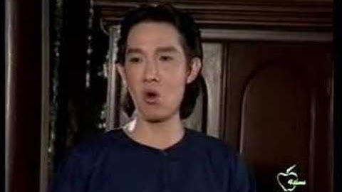 Cai Luong Hai Chang Lua