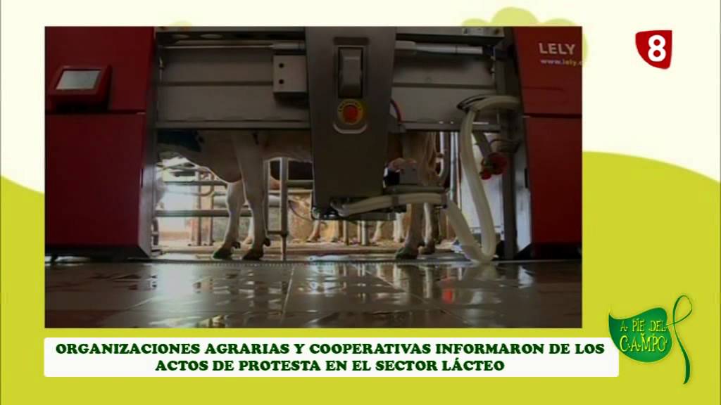 A PIE DEL CAMPO (15-8-15) television reddit