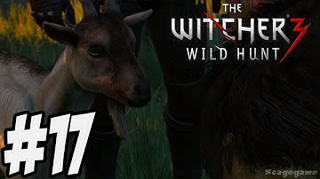 The Witcher 3 Wild Hunt - Gameplay Walkthrough Part 17 [ HD ]