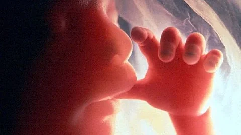 Meaning of Life - Neil deGrasse Tyson