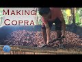 Turning coconut into copra  step by step