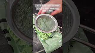 The Lush Squidward Bubble Bar Demo Review