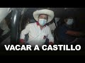 VACAR A CASTILLO