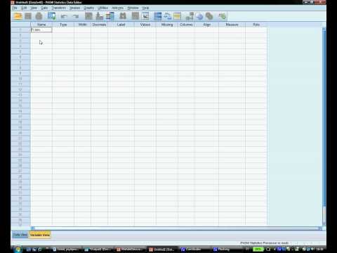 SPSS, Mata in data, Del A