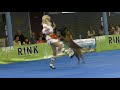 Dogdance World Championship. Final. Freestyle. Polina Il'ina and Sabur. The Moldavian dance.