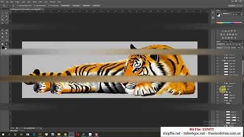 FILE TRANH HỔ VẰN CON GIÁP NGÀY TẾT NHÂM DẦN 2022 - 137VTT