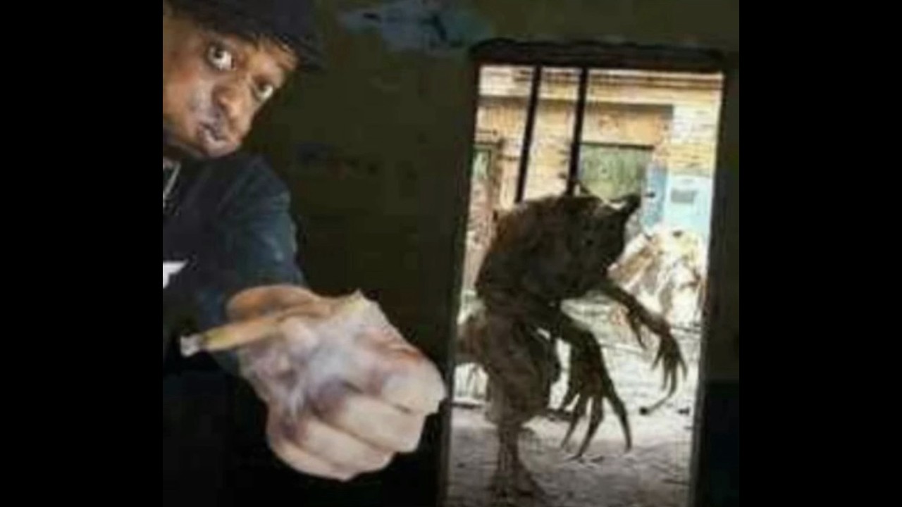 chilling with the moids