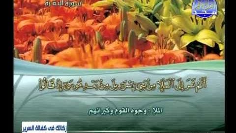 سورة البقرة 233 الى 252 ــ محمود على البنا