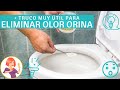 AQUÍ TE ENSEÑO CÓMO ELIMINAR RÁPIDAMENTE EL OLOR DE ORINA EN BAÑO, SOFÁ O CAMA