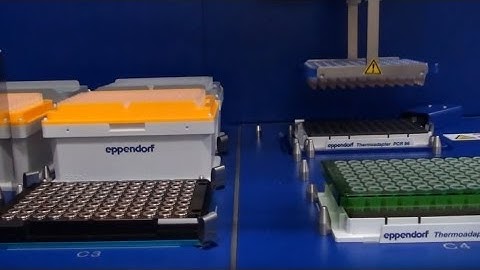 What`s Next? NGS Library Preparation with epMotion® 5075t