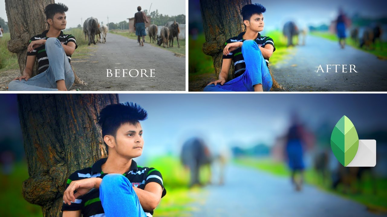 Blur Background + Best Colour effect Editing in Snapseed 2019 -  #nitscreations - YouTube