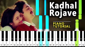 Kadhal Rojave Piano Tutorial With Chord  | Blacktunes Piano