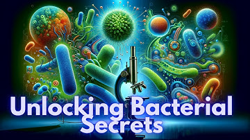 Secrets of Bacteria: Unveiling the Quorum Sensing Mystery