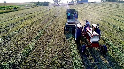 Square Baling Alfalfa!